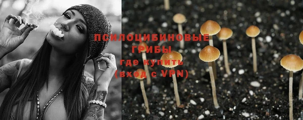 хмурый Абдулино