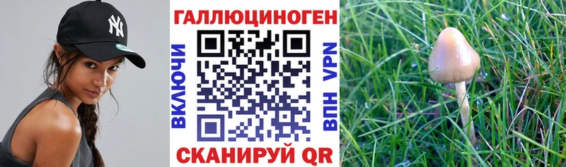 цены наркотик  Азов  Галлюциногенные грибы мухоморы 